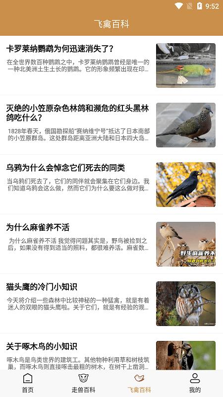 飞禽大全手机版下载,飞禽大全,科普app